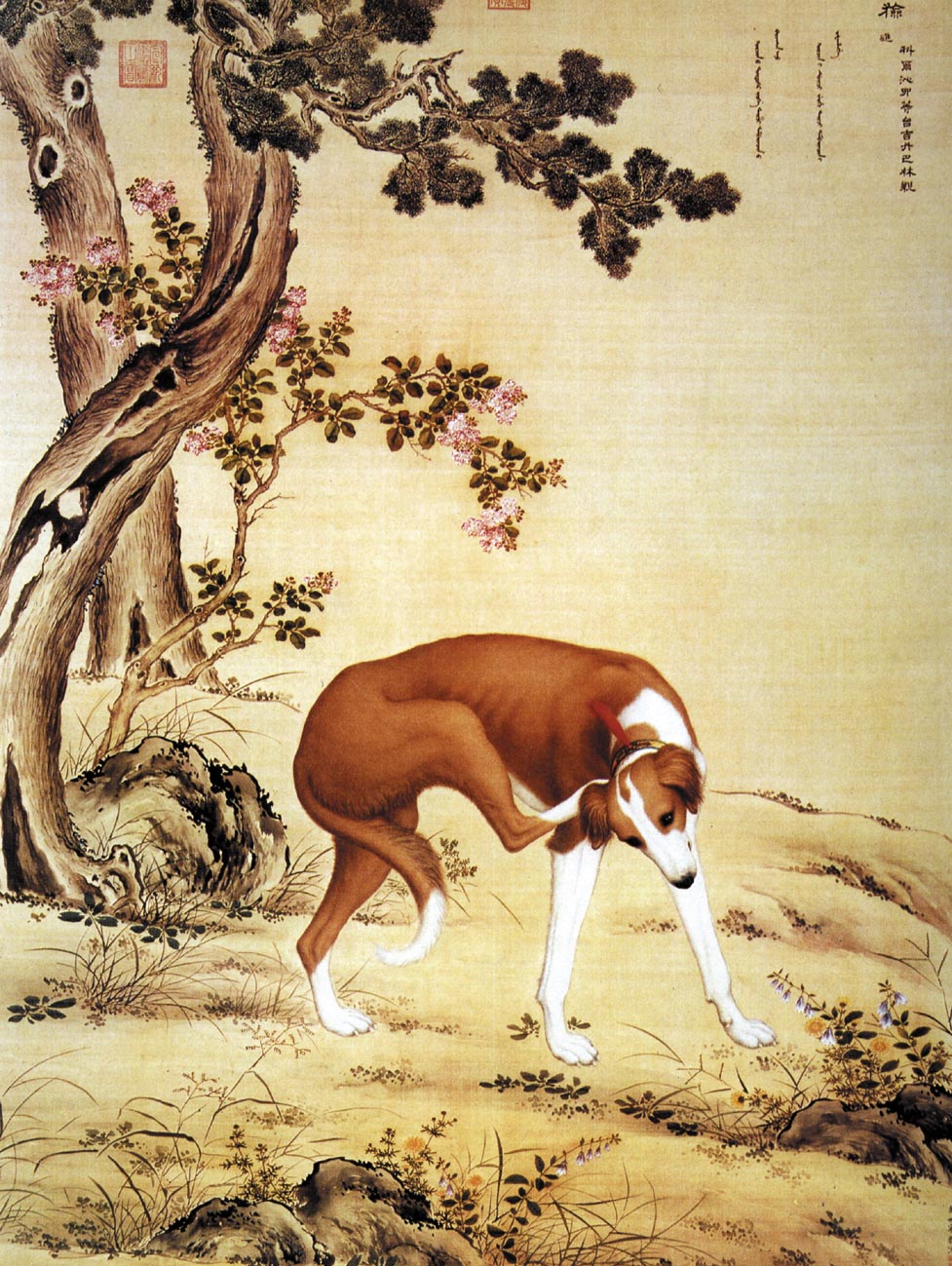 郎世宁“康熙细犬”和两岸故宫《十骏犬》考-三联生活网