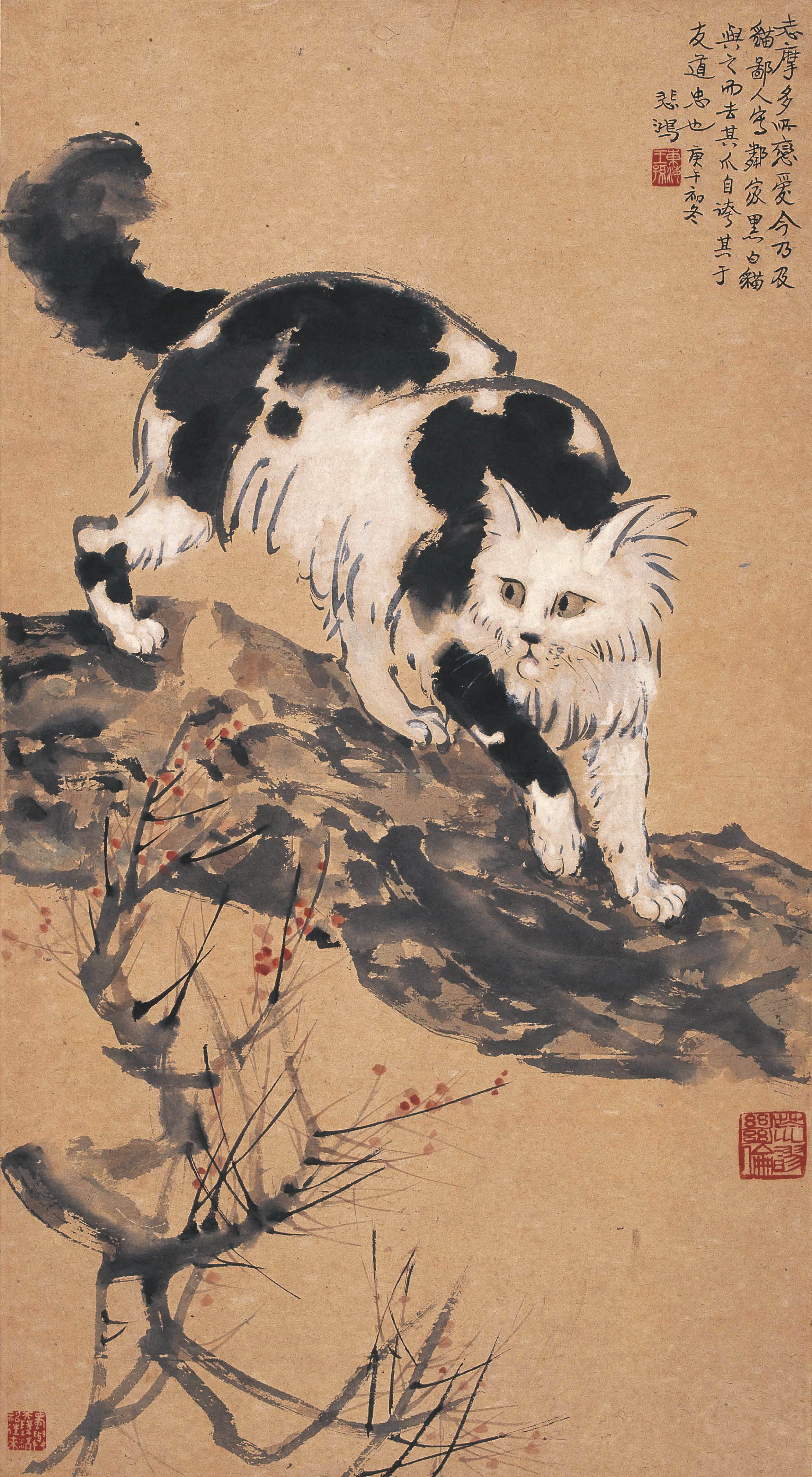 徐悲鸿猫石图