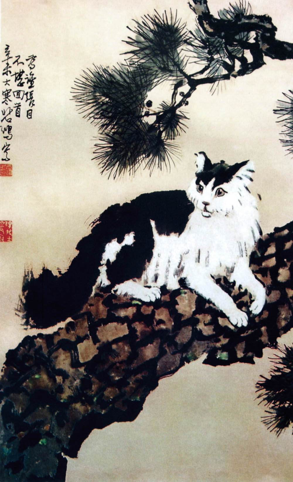 徐悲鸿赠《猫》徐志摩-三联生活网